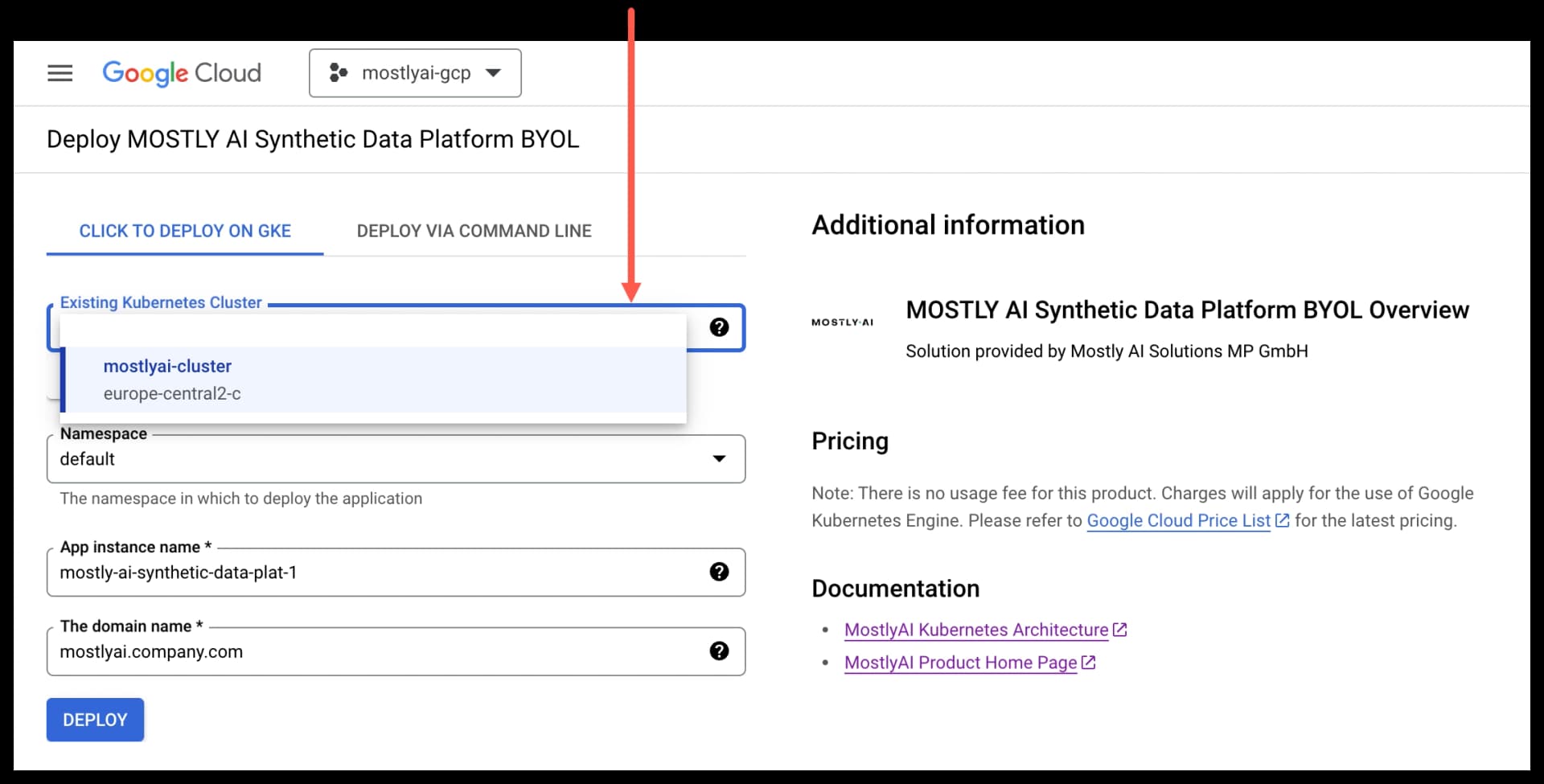 GCP Marketplace - Select existing cluster 02
